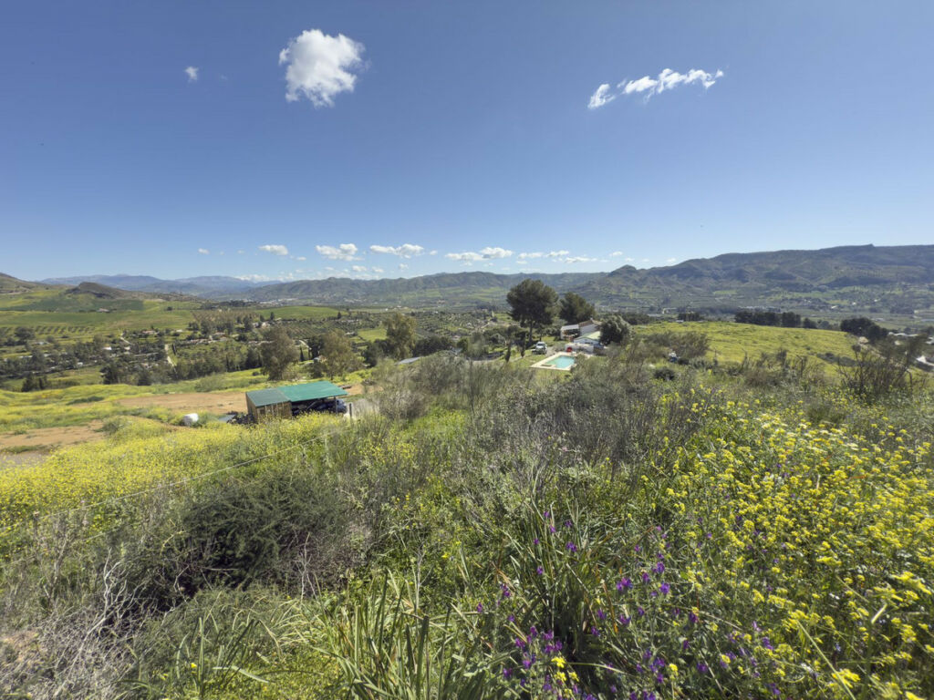 Finca - Cortijo Pizarra Málaga - image 33