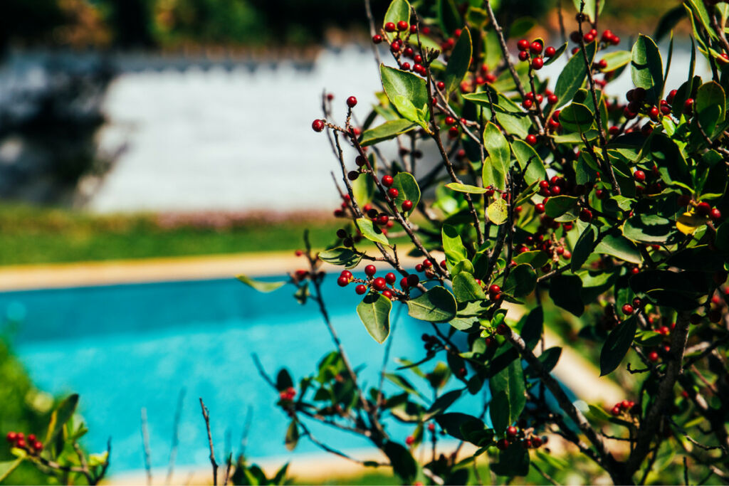 Detached Villa Marbella Málaga - image 35