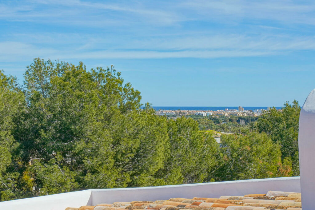 Detached Villa Javea Alicante - image 35