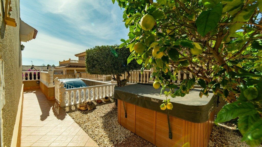Detached Villa Los Altos Alicante - image 37