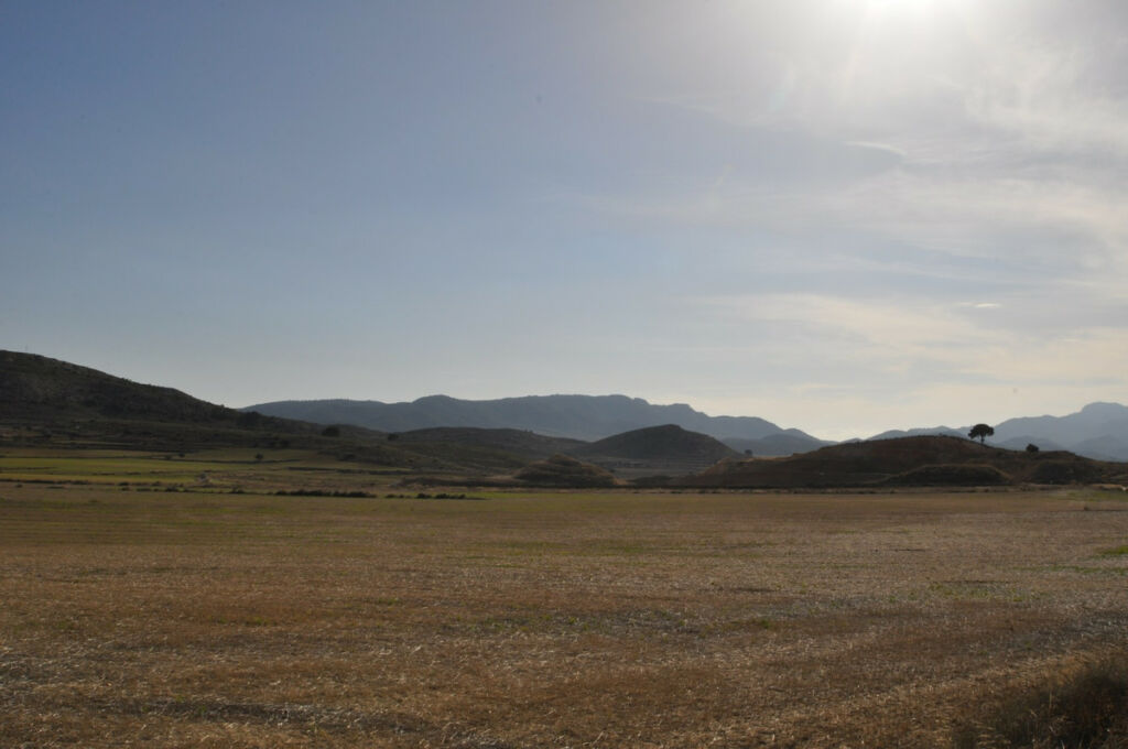 Land Torre Del Rico Murcia - image 4