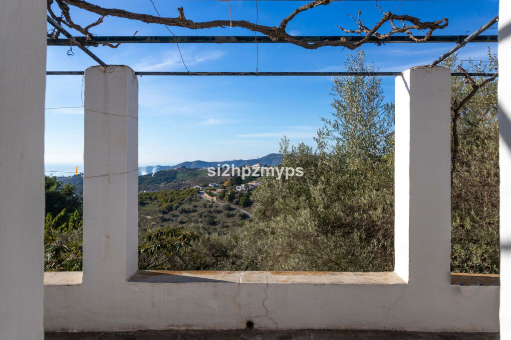 Detached Villa Frigiliana Málaga - image 4