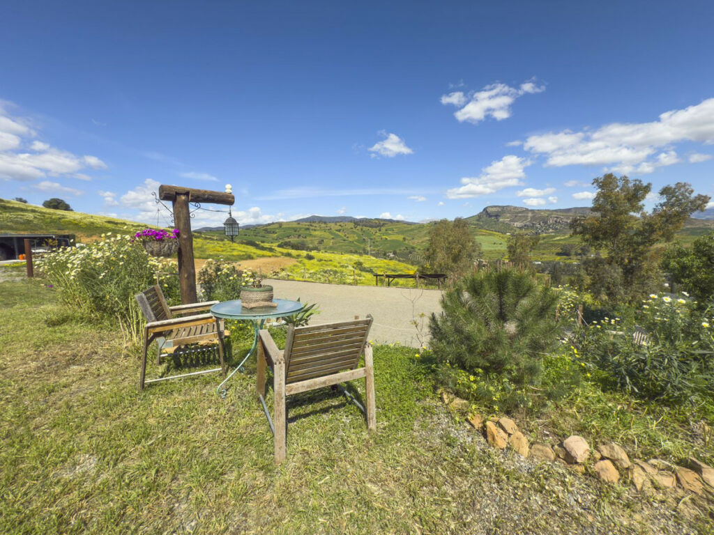 Finca - Cortijo Pizarra Málaga - image 4
