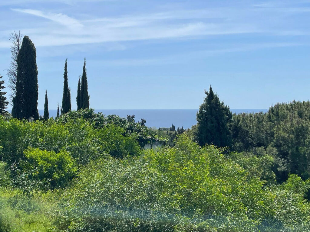 Residential Plot El Rosario Málaga - image 6