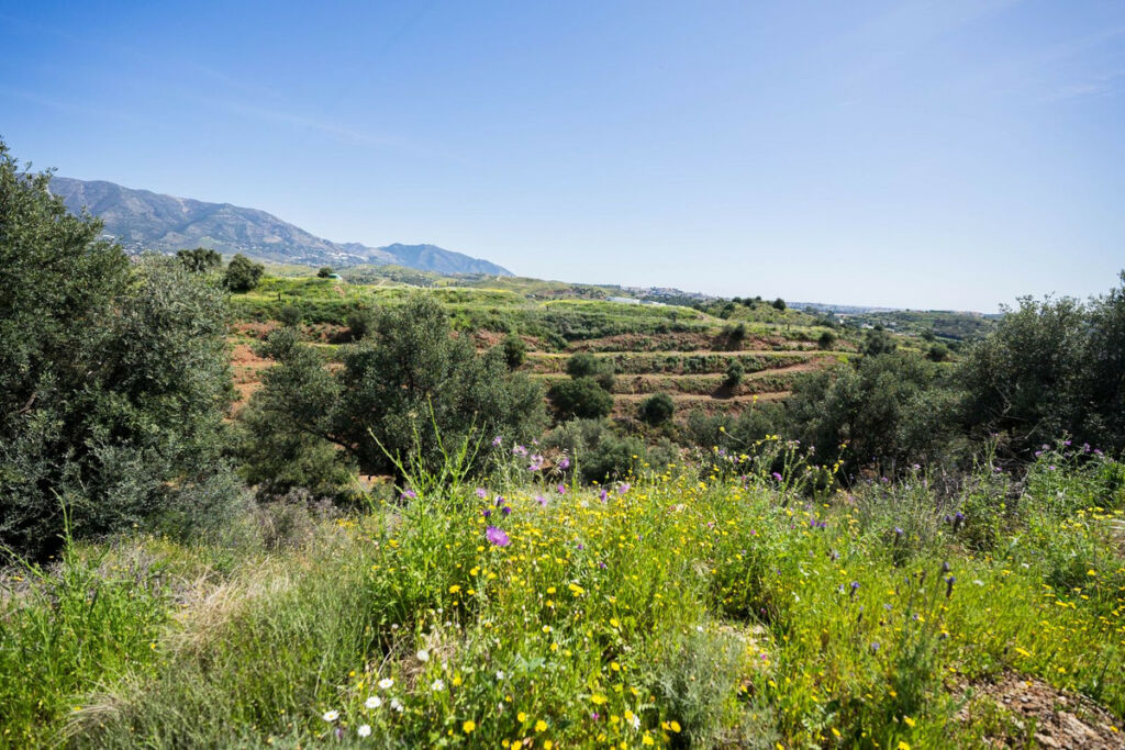 Land Mijas Málaga - image 4