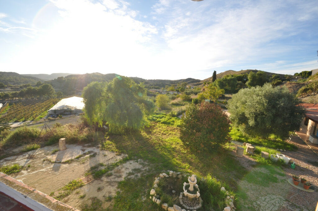 Detached Villa Aspe Alicante - image 4
