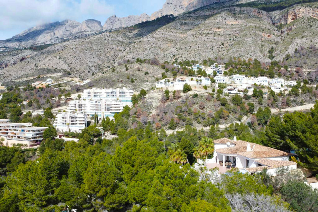 Detached Villa Altea Alicante - image 40