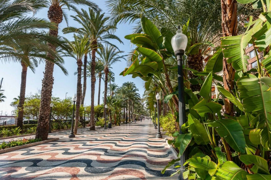 Middle Floor Apartment El Campello Alicante - image 41