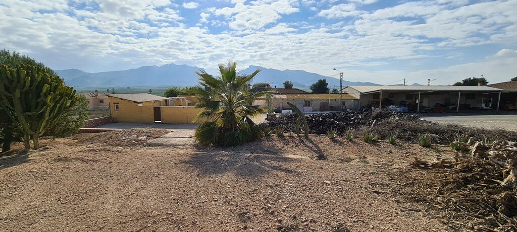 Detached Villa La Matanza Alicante - image 41