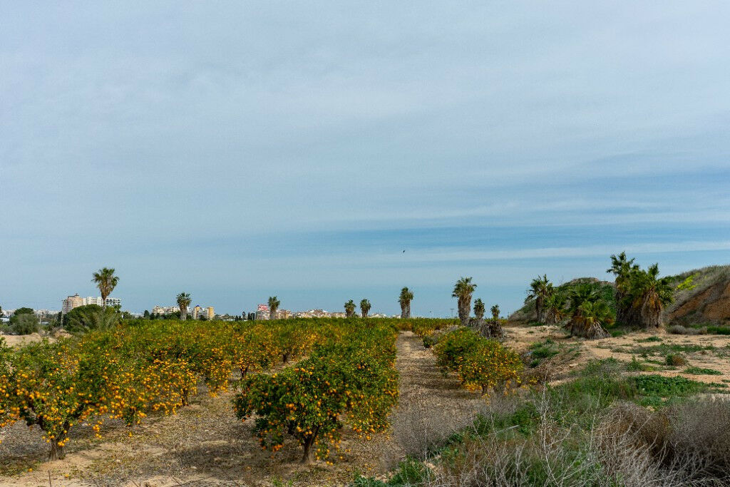 Detached Villa Los Altos Alicante - image 42