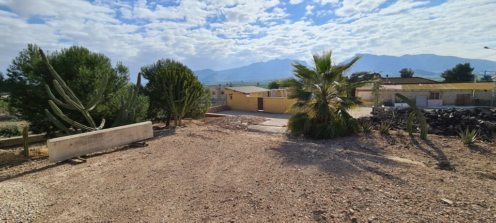 Detached Villa La Matanza Alicante - image 42
