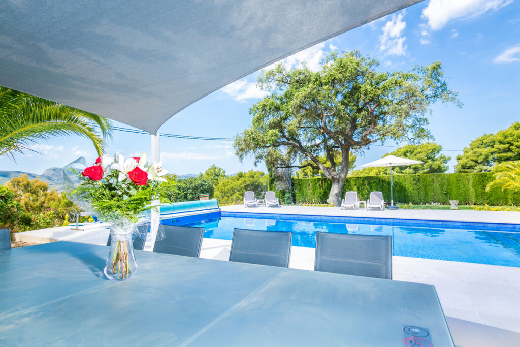 Detached Villa Javea Alicante - image 41