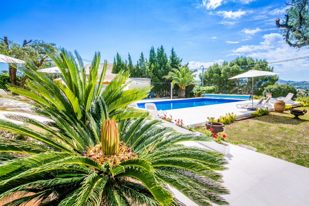 Detached Villa Javea Alicante - image 43