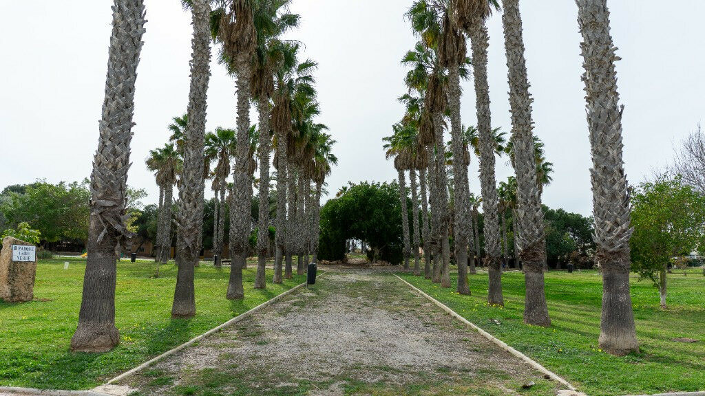 Detached Villa Los Altos Alicante - image 44