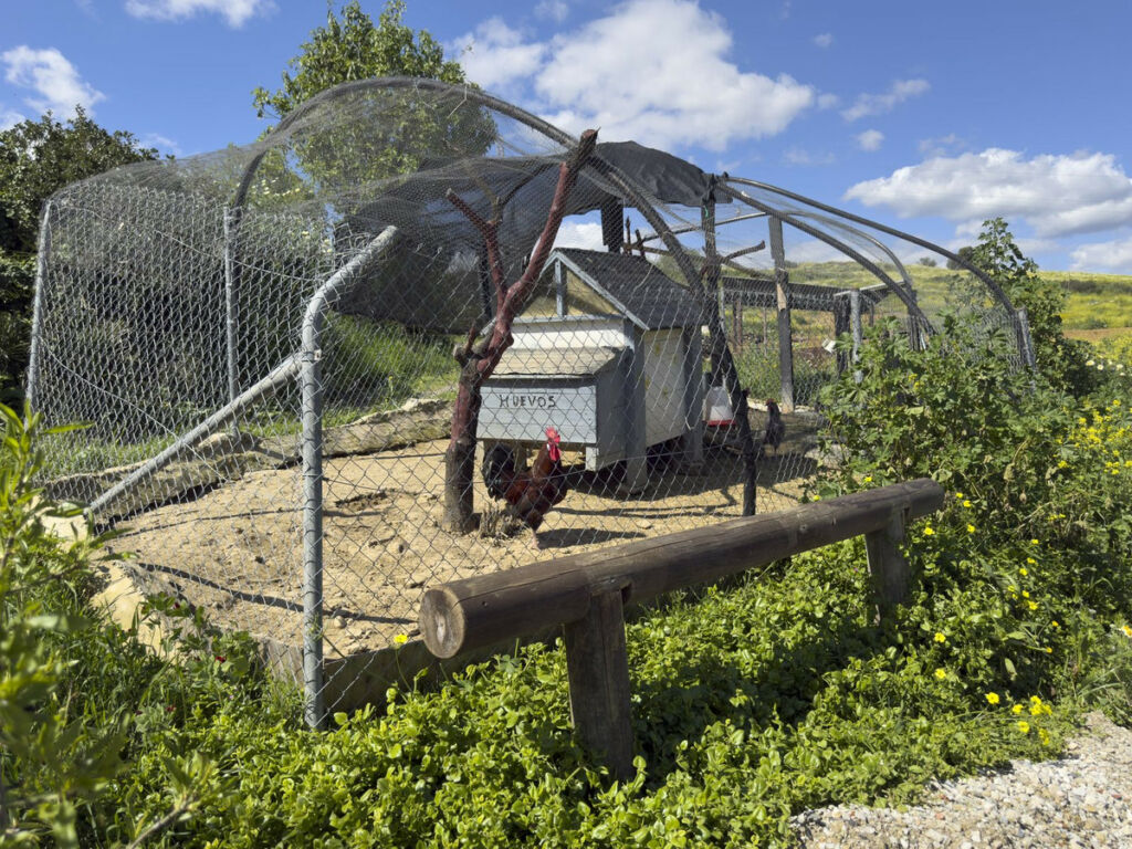 Finca - Cortijo Pizarra Málaga - image 44
