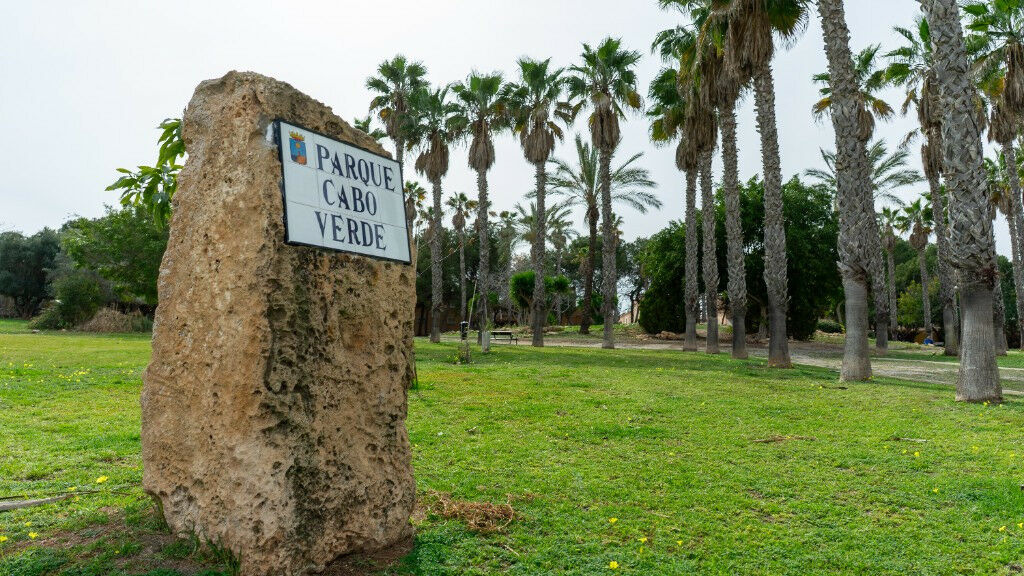 Detached Villa Los Altos Alicante - image 45