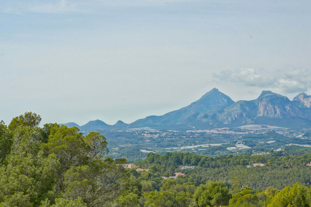 Detached Villa Altea Alicante - image 47