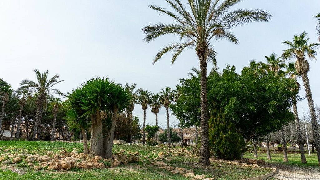 Detached Villa Los Altos Alicante - image 47