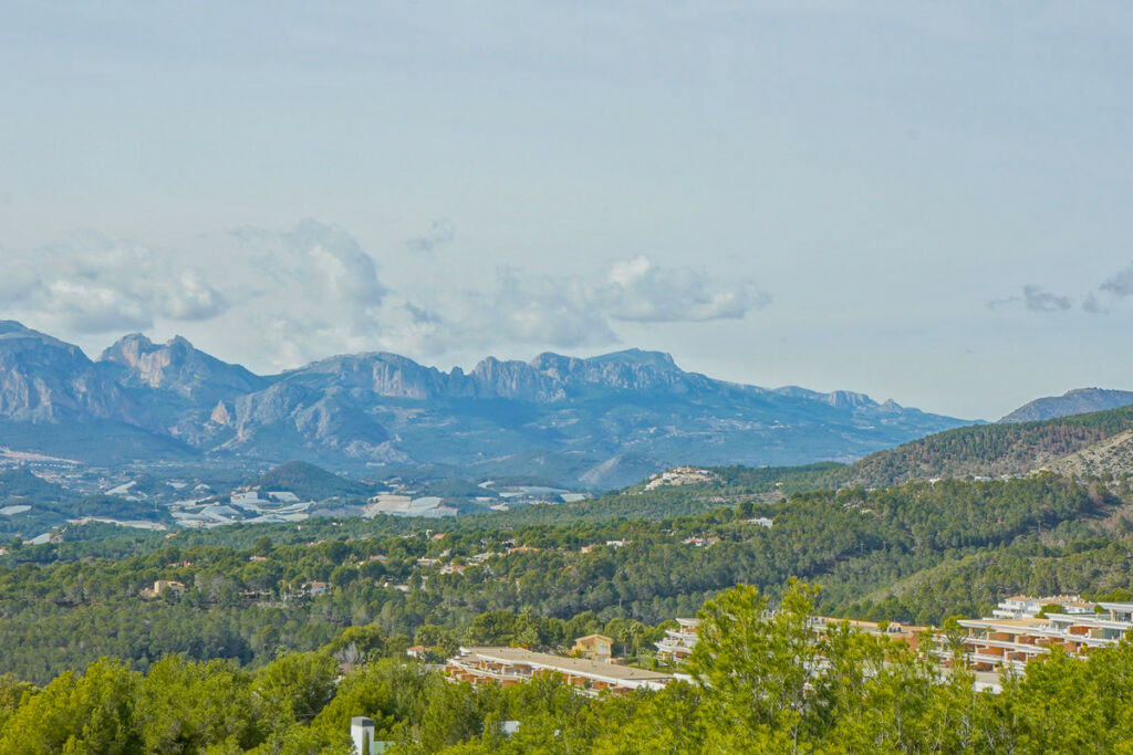 Detached Villa Altea Alicante - image 48