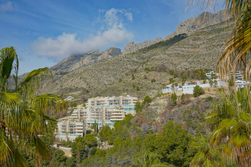 Detached Villa Altea Alicante - image 49