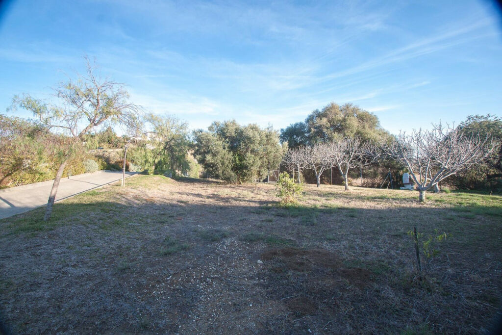 Finca - Cortijo Estepona Málaga - image 5
