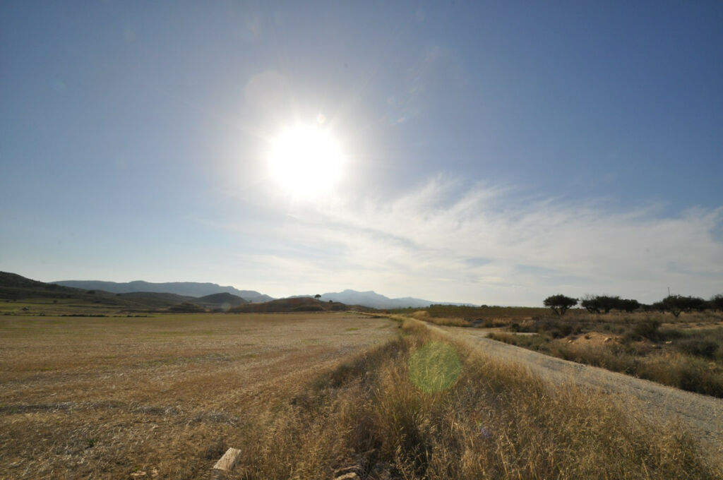 Land Torre Del Rico Murcia - image 5