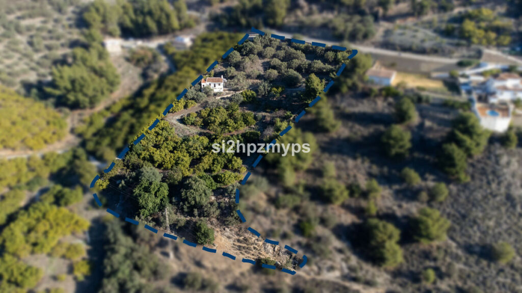 Detached Villa Frigiliana Málaga - image 5