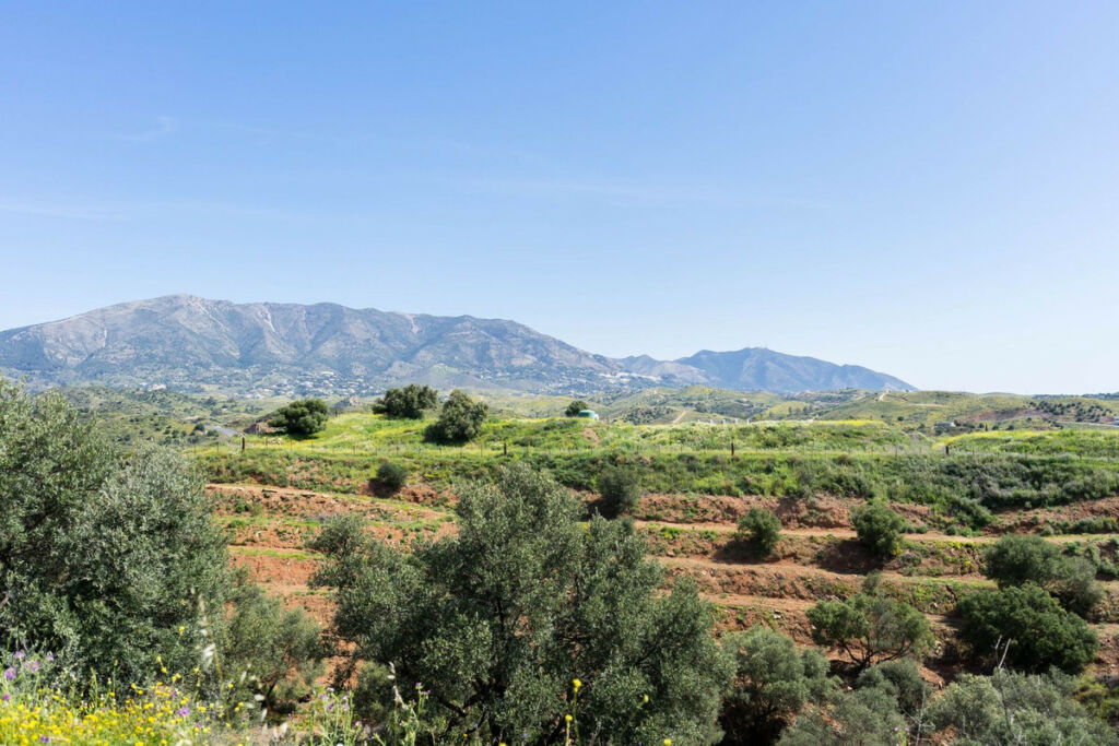 Land Mijas Málaga - image 5