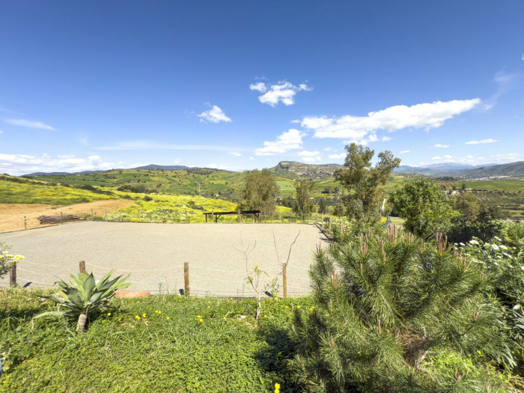 Finca - Cortijo Pizarra Málaga - image 5