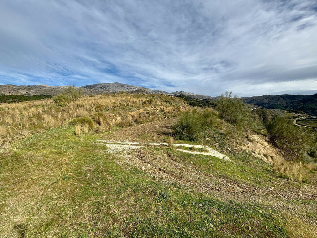 Land Sedella Málaga - image 5
