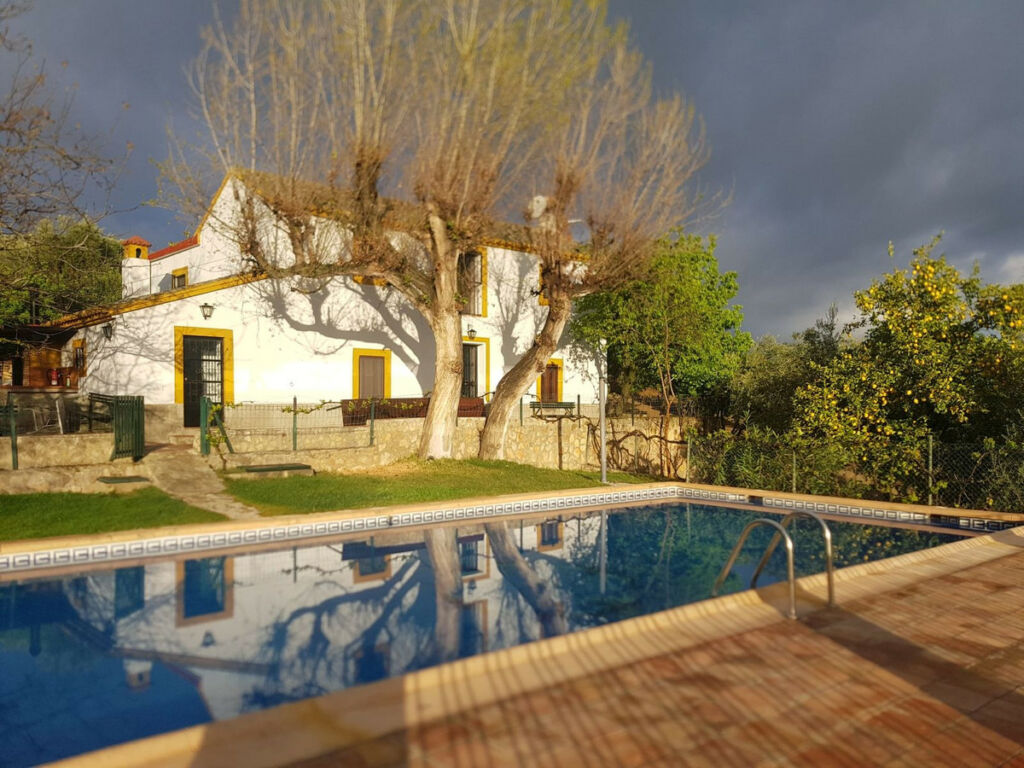 Finca - Cortijo Ronda Málaga - image 5