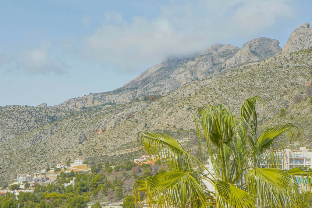 Detached Villa Altea Alicante - image 50