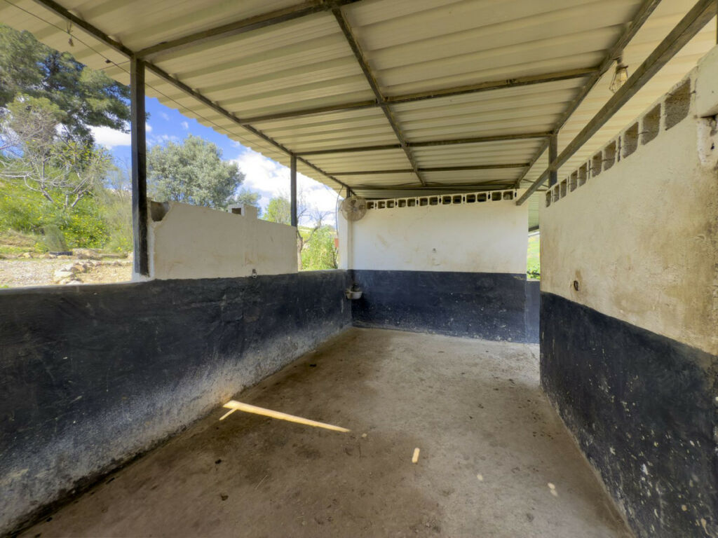Finca - Cortijo Pizarra Málaga - image 50