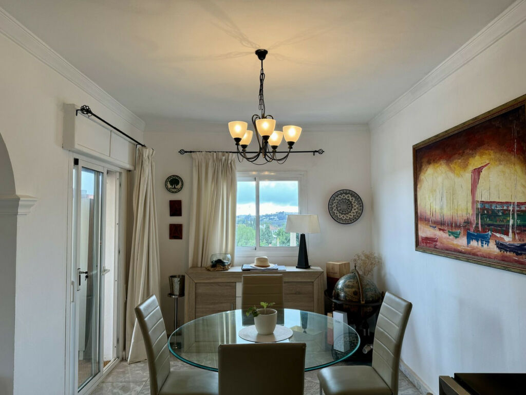 Detached Villa Mijas Málaga - image 52