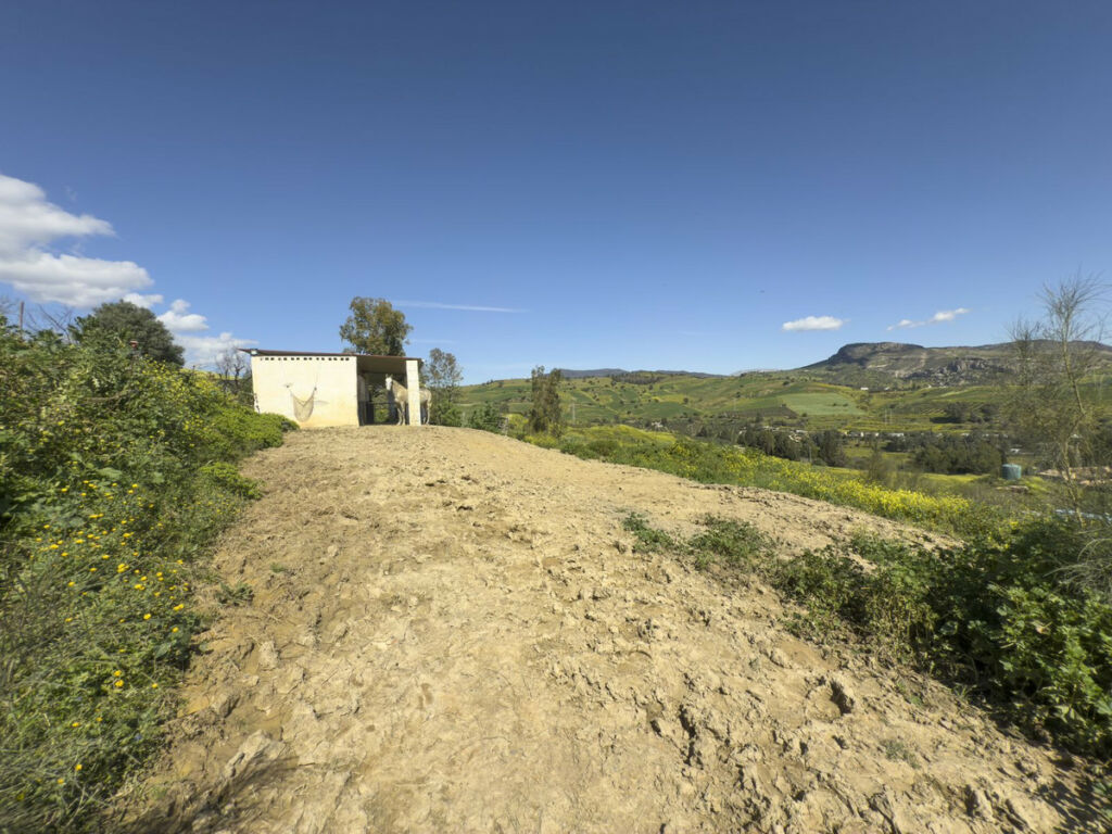 Finca - Cortijo Pizarra Málaga - image 53