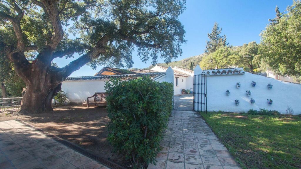Finca - Cortijo Casares Málaga - image 54