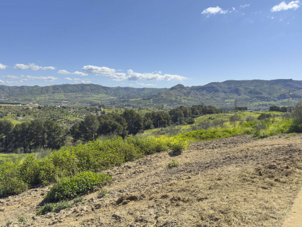 Finca - Cortijo Pizarra Málaga - image 54