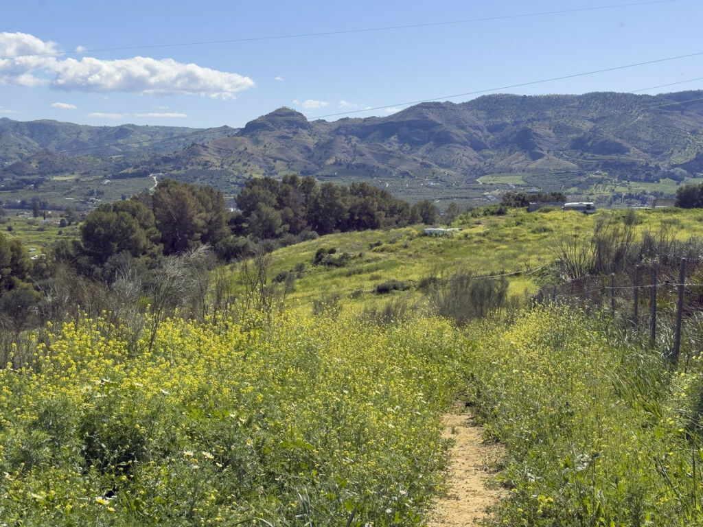 Finca - Cortijo Pizarra Málaga - image 55