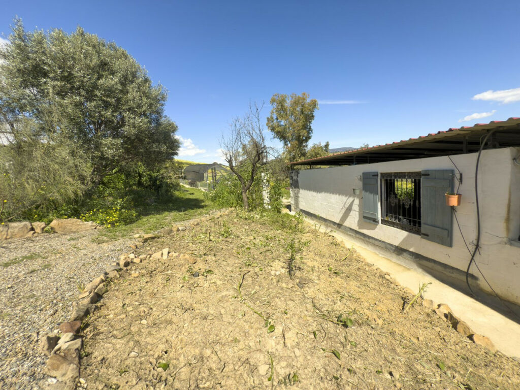 Finca - Cortijo Pizarra Málaga - image 57