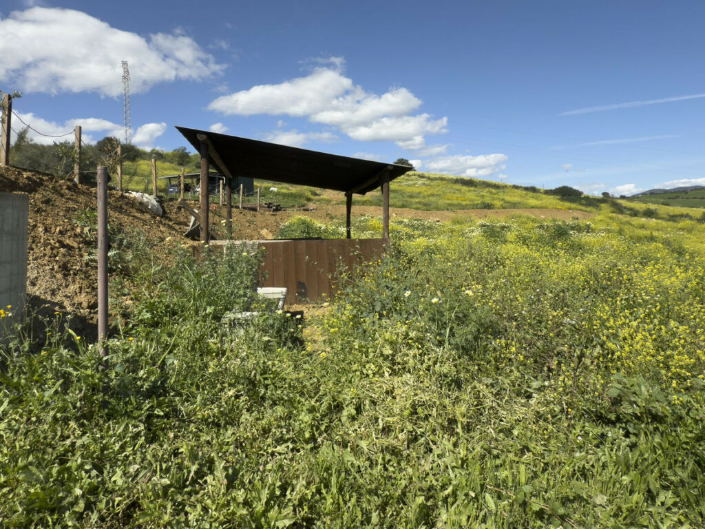 Finca - Cortijo Pizarra Málaga - image 58
