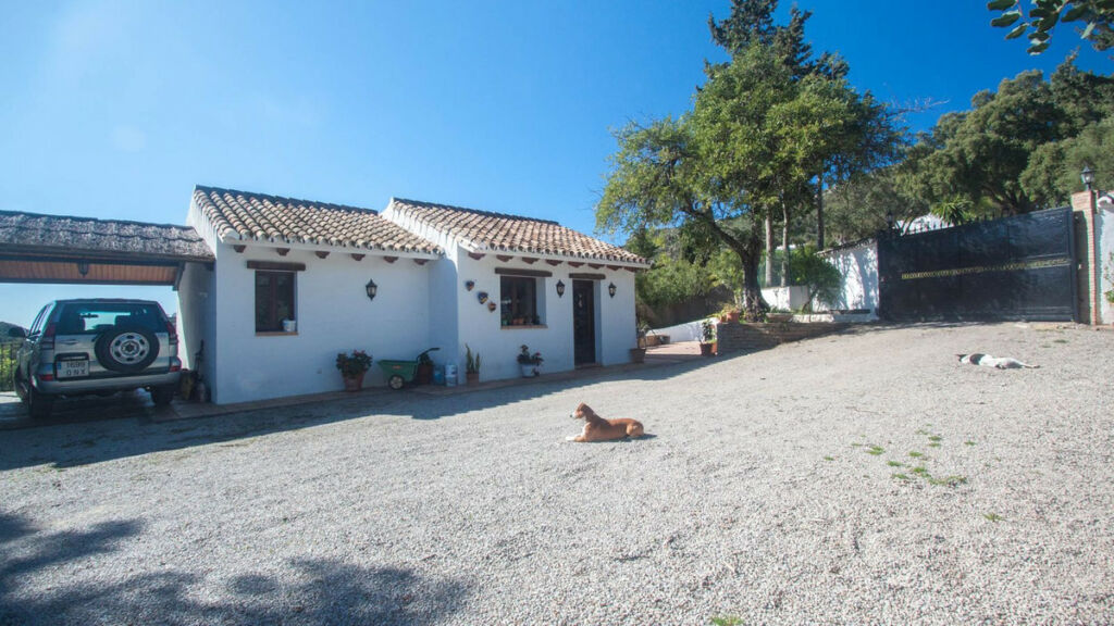Finca - Cortijo Casares Málaga - image 58