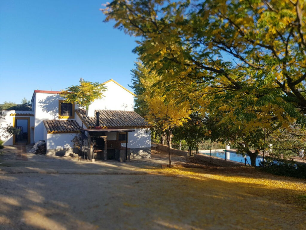 Finca - Cortijo Ronda Málaga - image 6