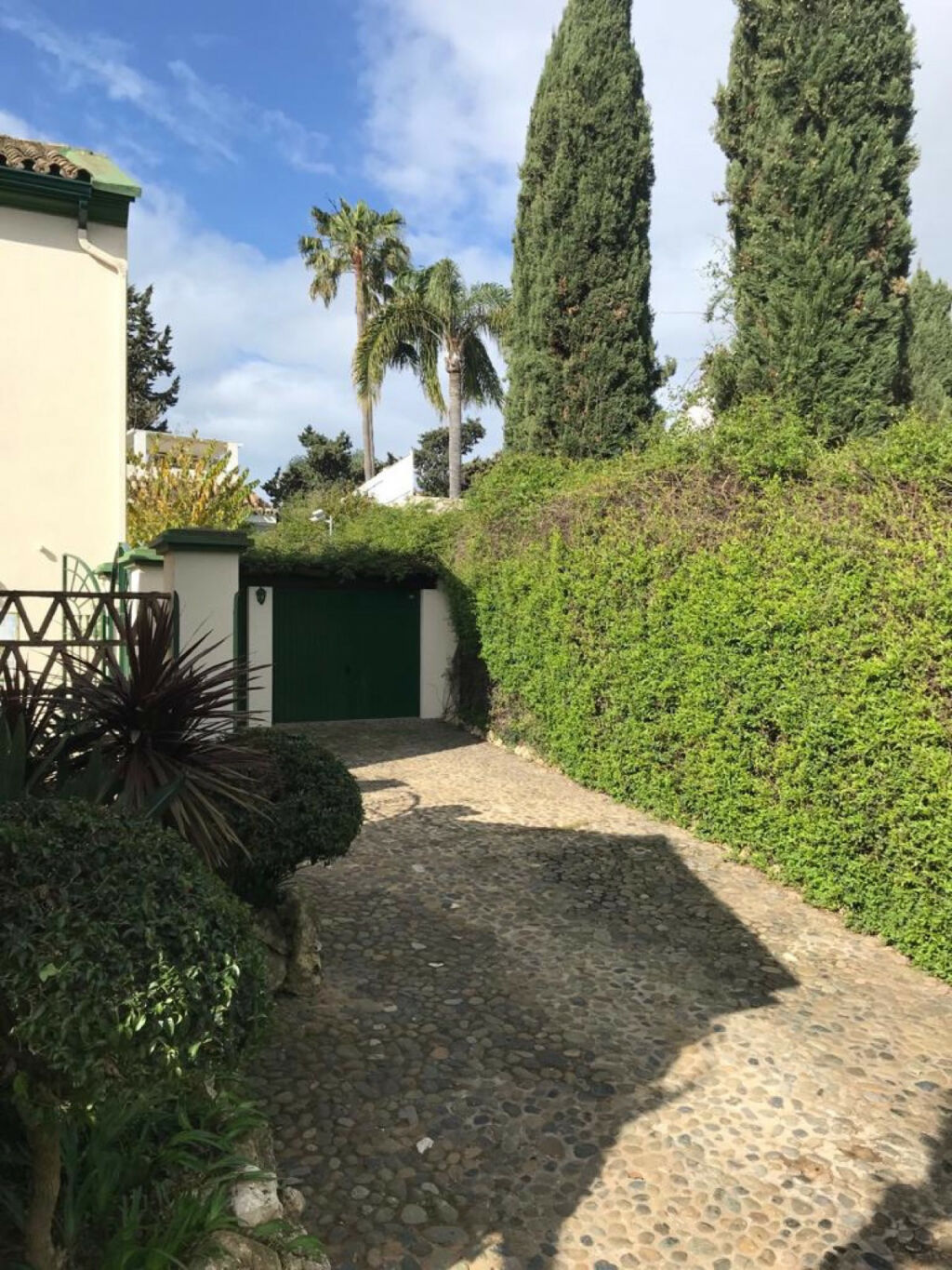 Detached Villa Guadalmina Baja Málaga - image 6