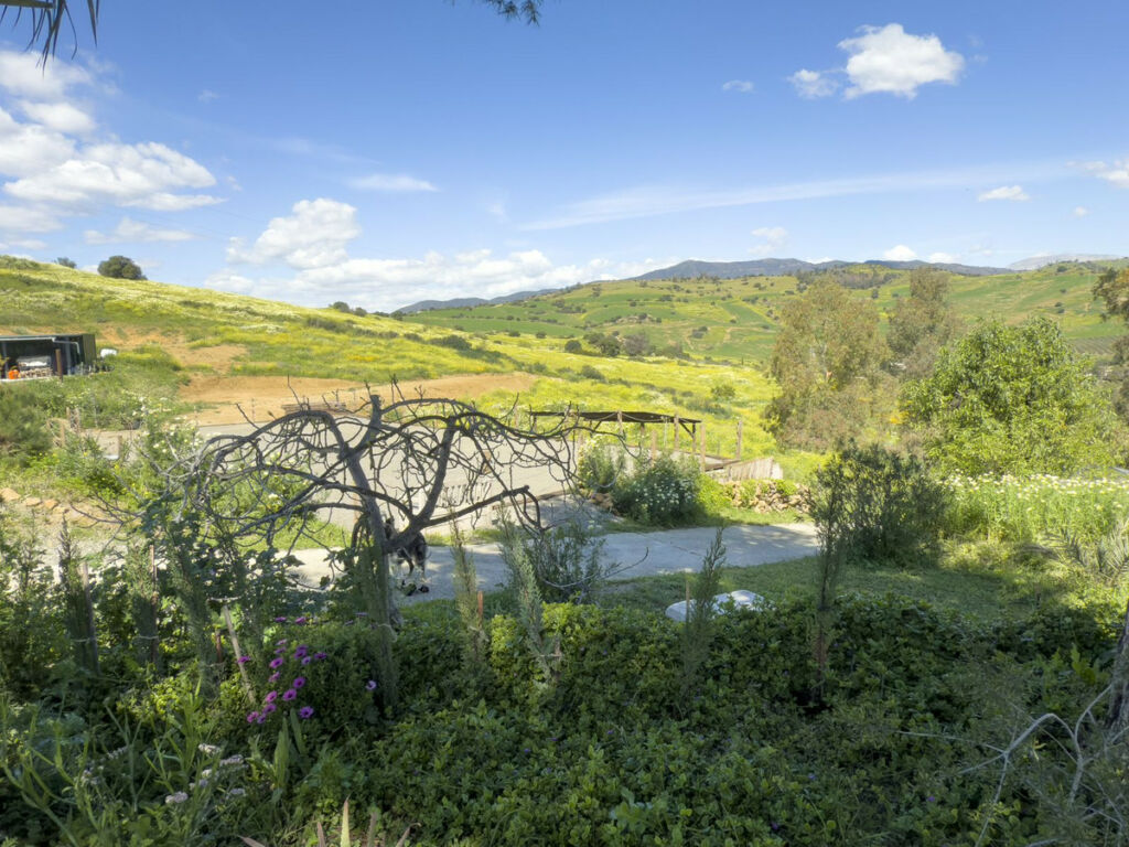 Finca - Cortijo Pizarra Málaga - image 60
