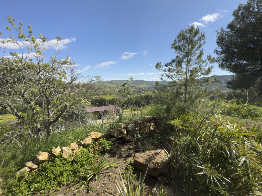 Finca - Cortijo Pizarra Málaga - image 61