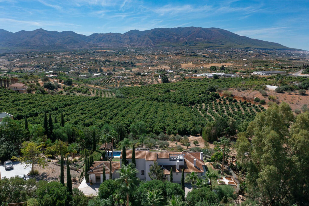 Finca - Cortijo Alhaurín de la Torre Málaga - image 63