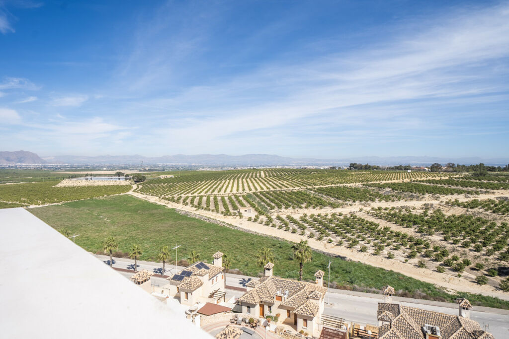 Semi-Detached House La Finca Golf Alicante - image 68