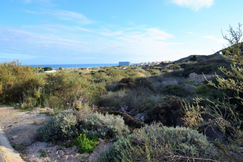 Land Guardamar del Segura Alicante - image 7