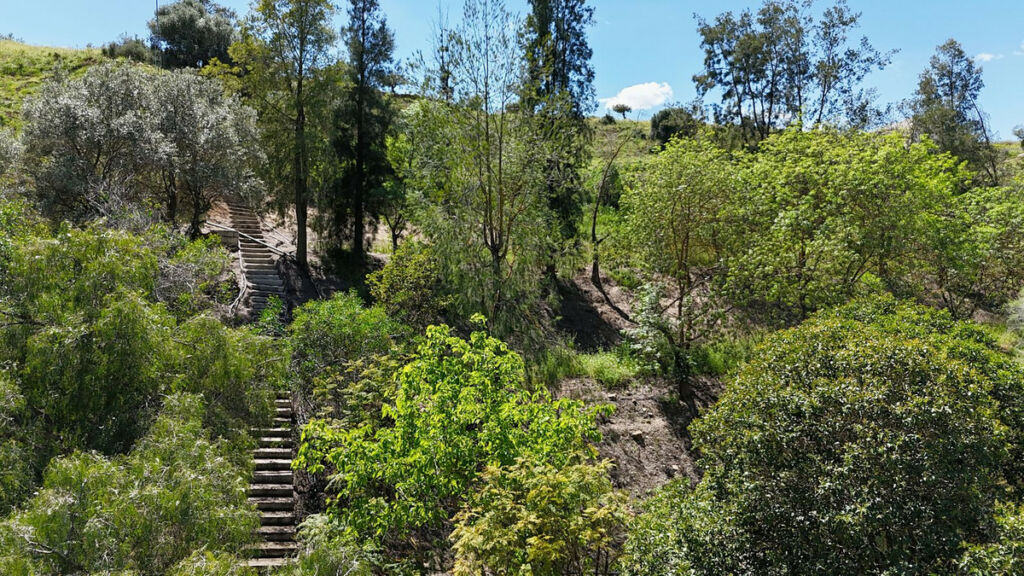 Detached Villa Coín Málaga - image 7