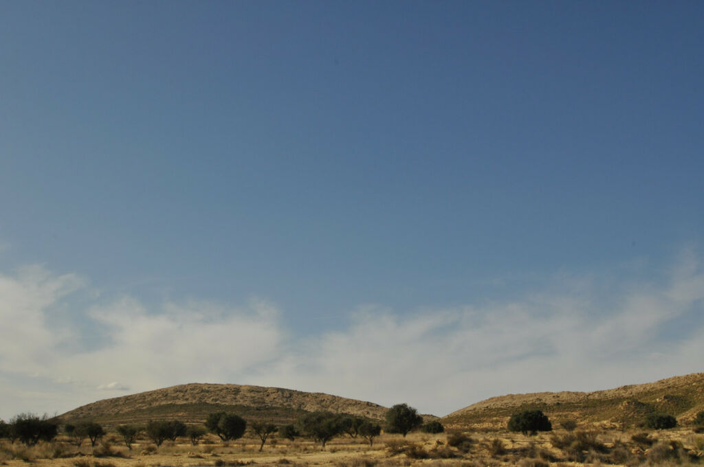 Land Torre Del Rico Murcia - image 7